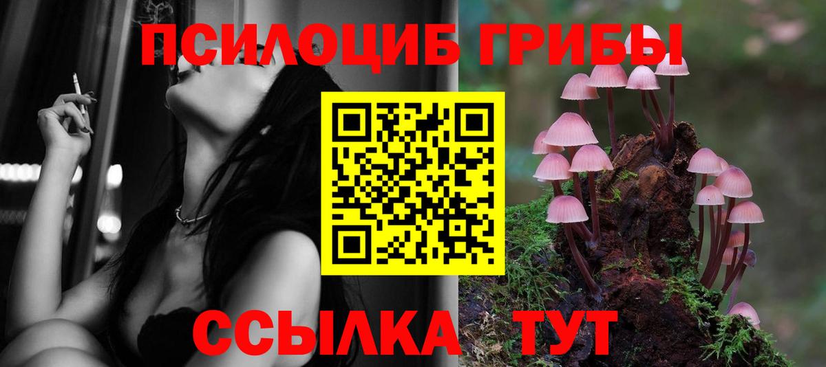 Борзя  Галлюциногенные грибы мухоморы  Вход с VPN 