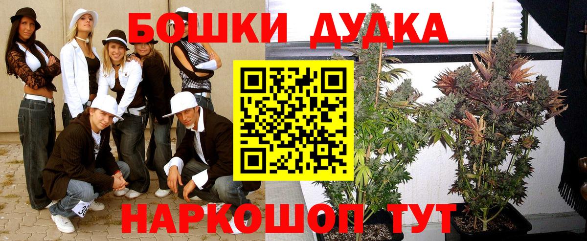 Бошки марихуана семена  Шишки марихуана OG Kush  Борзя  Марихуана Amnesia  Вход с VPN 